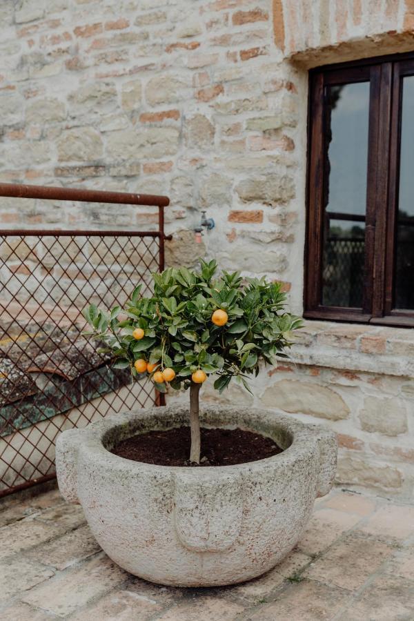 Agriturismo Qui Voglio Monte Roberto Buitenkant foto